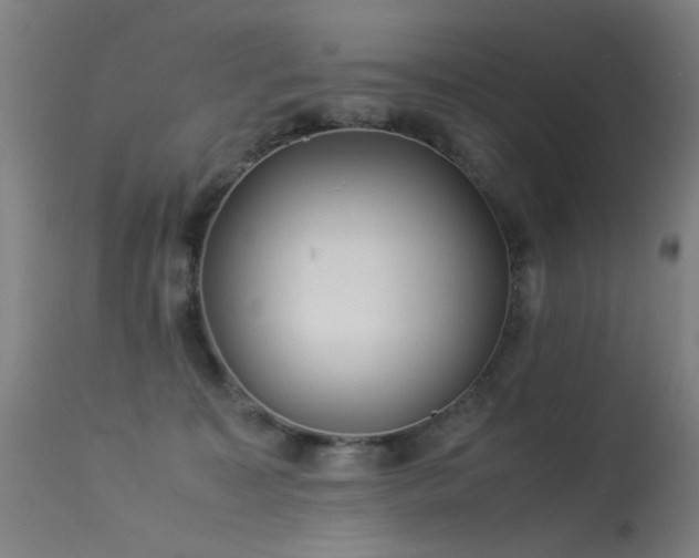 X0000113330323200909211226