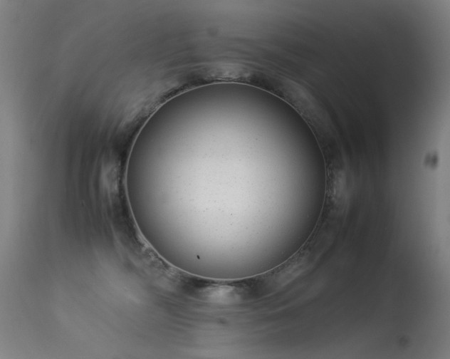 X0000113330326200909211226