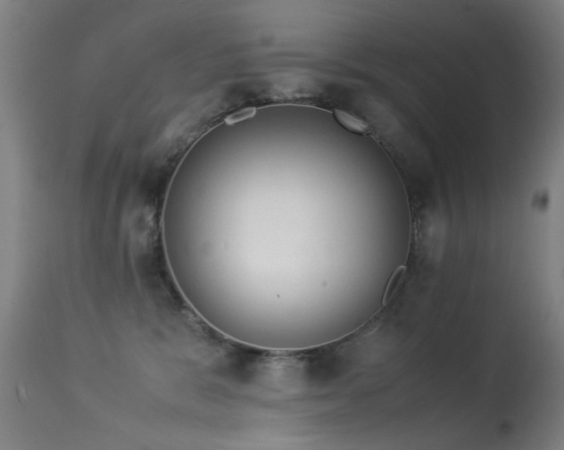 X0000113330327200909211226