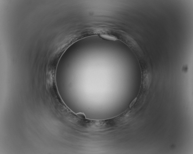 X0000113330329200909211226