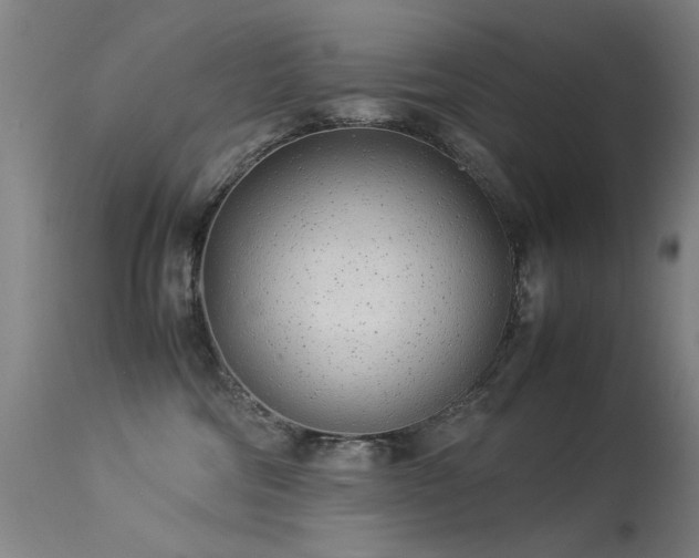 X0000113330330200909211226