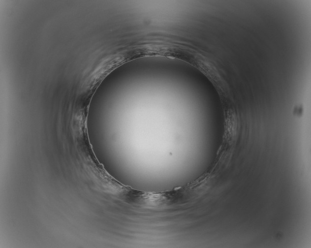 X0000113330333200909211226