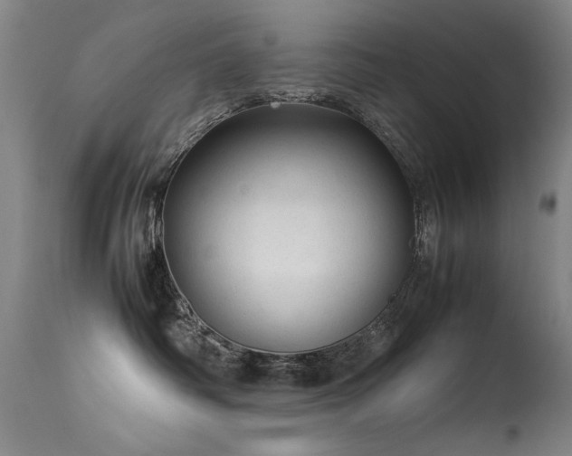 X0000113330334200909211226