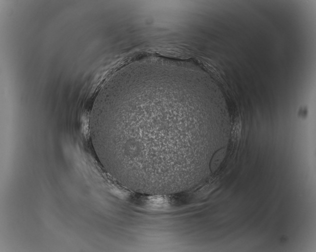 X0000113330335200909211226