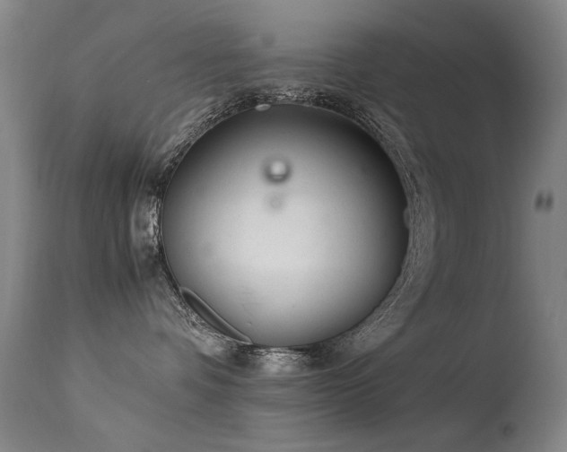 X0000113330336200909211226