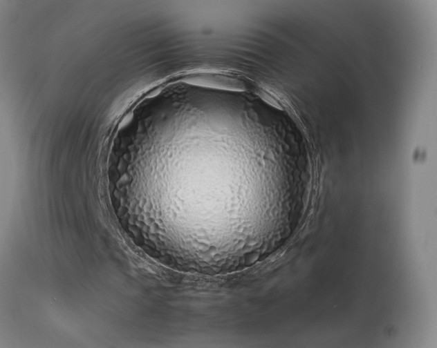 X0000113330337200909211225