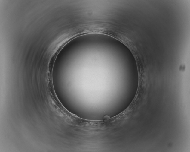 X0000113330338200909211225