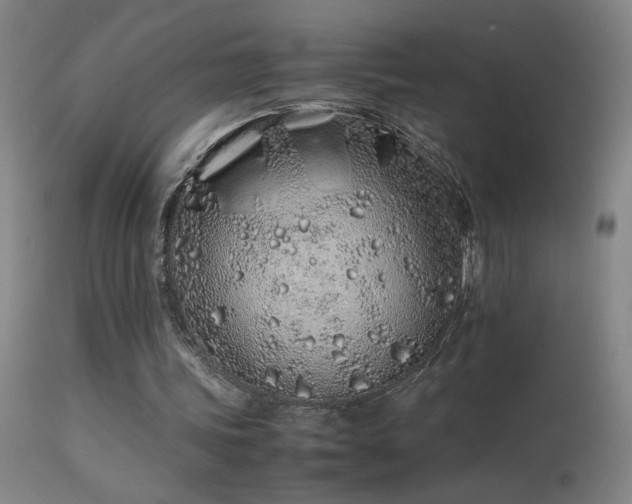 X0000113330339200909211225