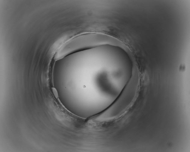 X0000113330340200909211225
