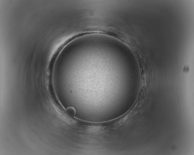 X0000113330342200909211225