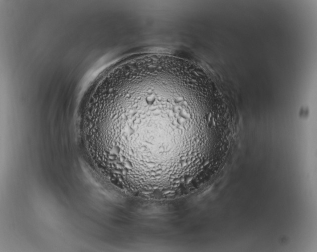 X0000113330343200909211225