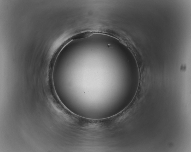 X0000113330344200909211225