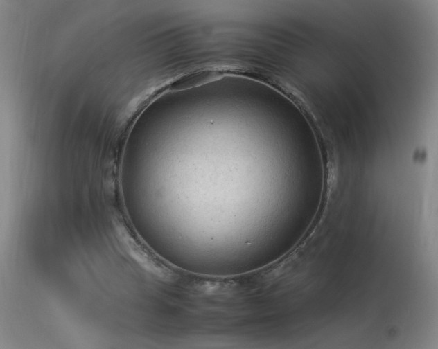 X0000113330345200909211225