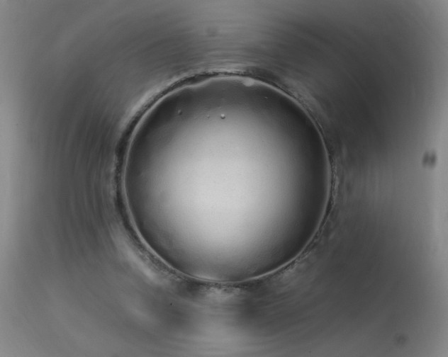 X0000113330346200909211225