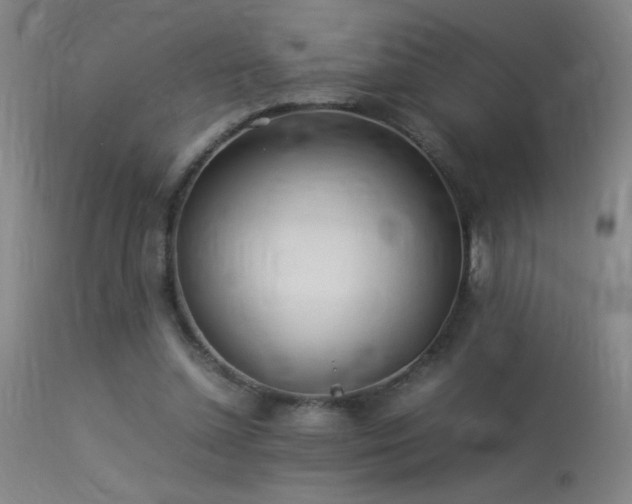 X0000113330348200909211225