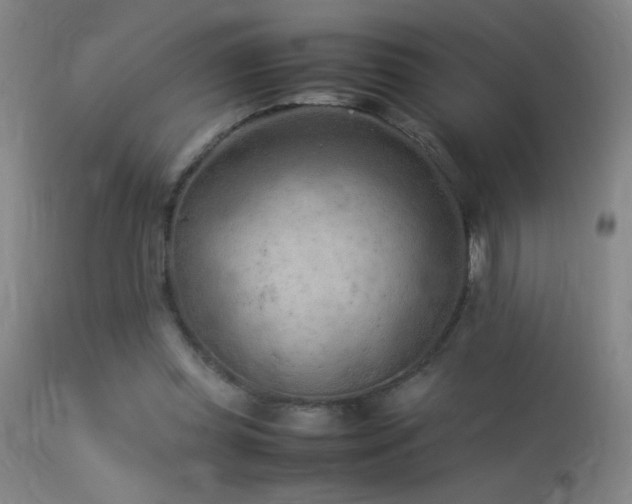 X0000113330349200909211225