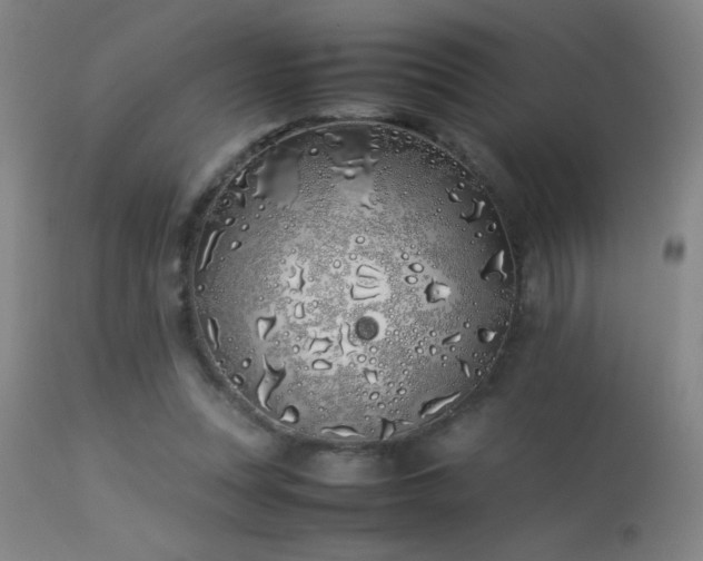 X0000113330351200909211225