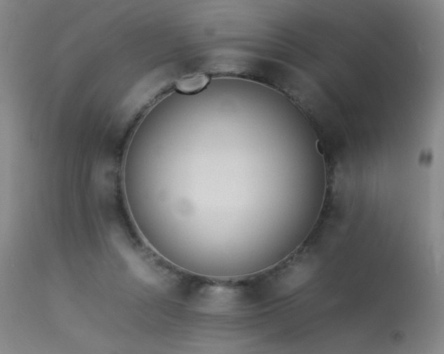 X0000113330352200909211225