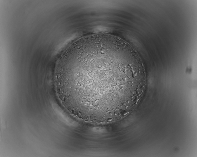 X0000113330353200909211225