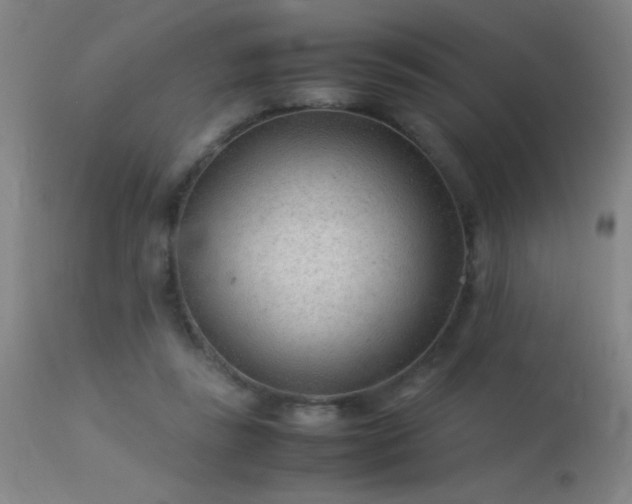 X0000113330355200909211225