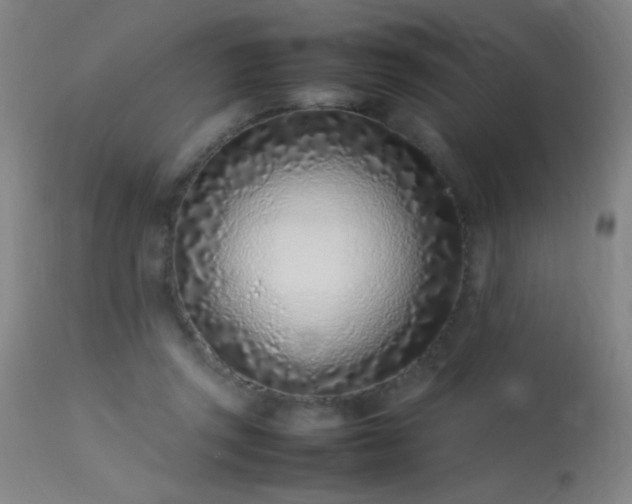X0000113330357200909211225