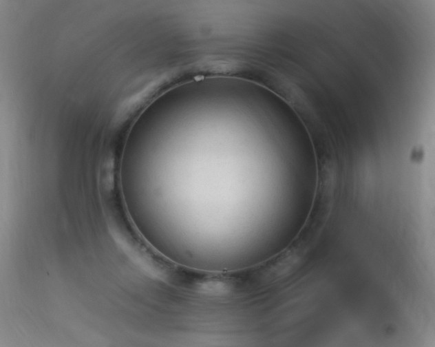 X0000113330358200909211225