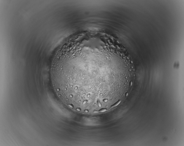 X0000113330359200909211225