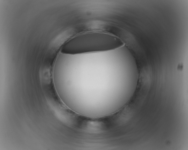 X0000113330360200909211225