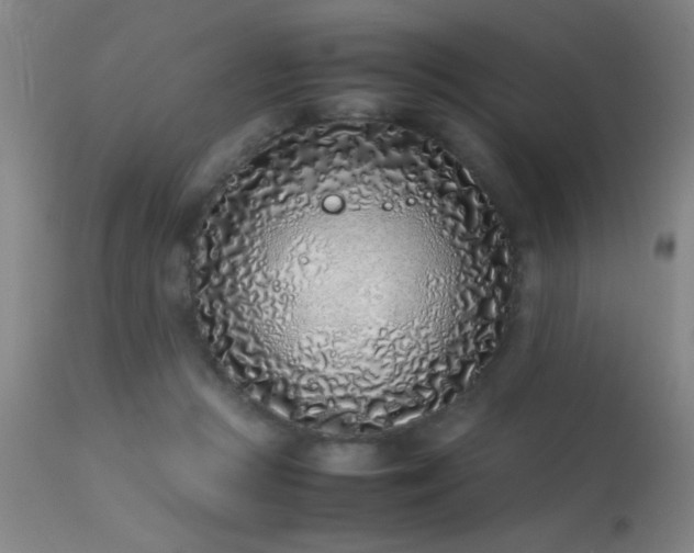 X0000113330361200909211225