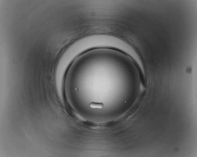 X0000113330362200909211225