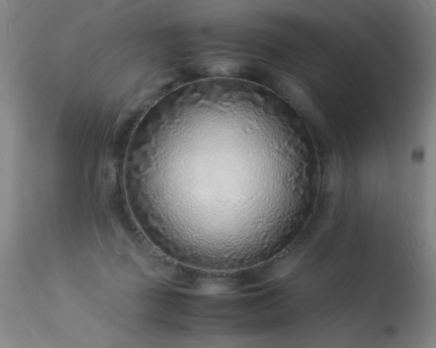 X0000113330363200909211225