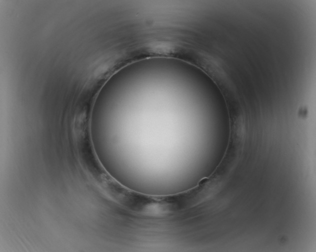 X0000113330364200909211225
