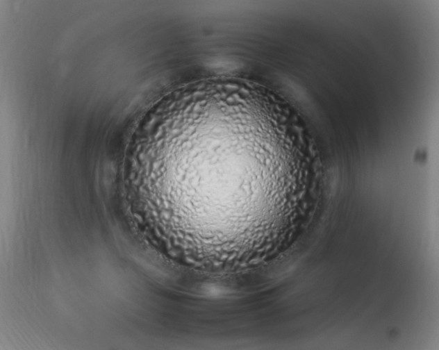 X0000113330365200909211225
