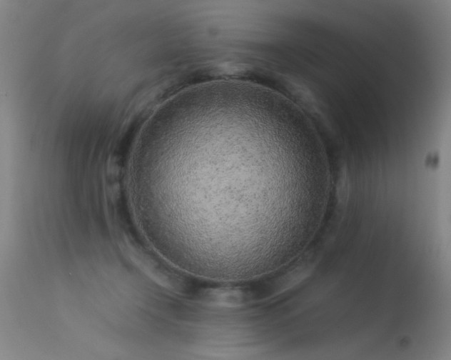 X0000113330366200909211225