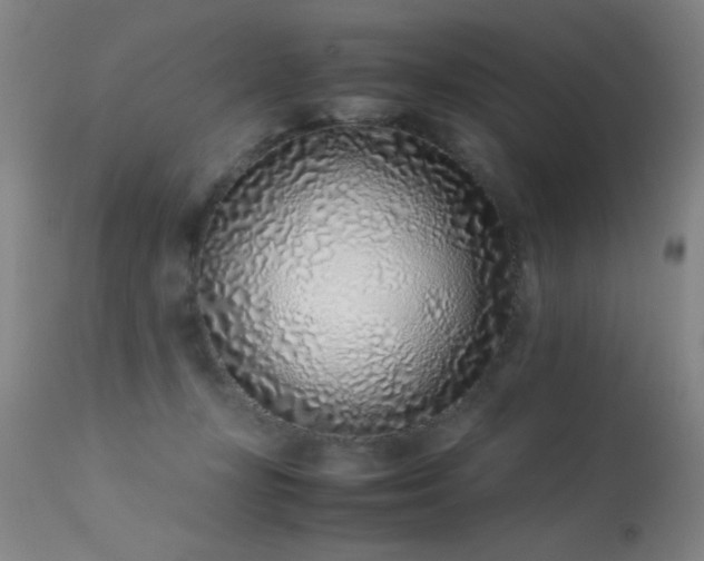 X0000113330367200909211225