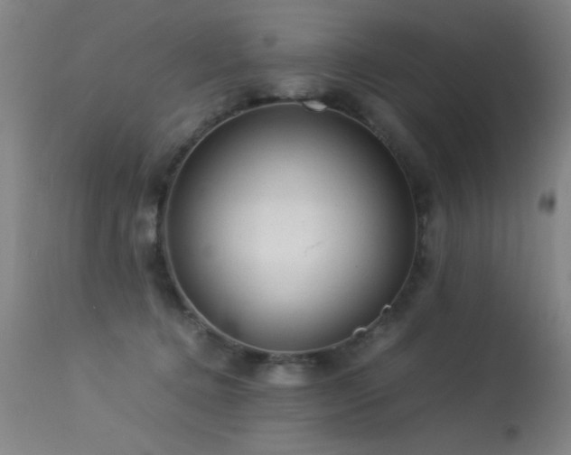 X0000113330368200909211225