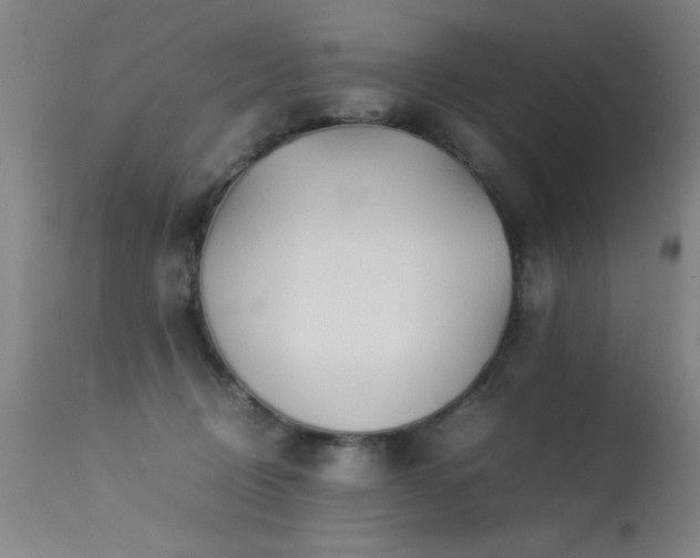 X0000113330370200909211225