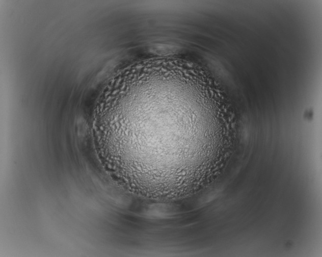 X0000113330371200909211225