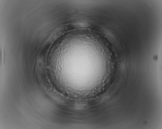 X0000113330373200909211225