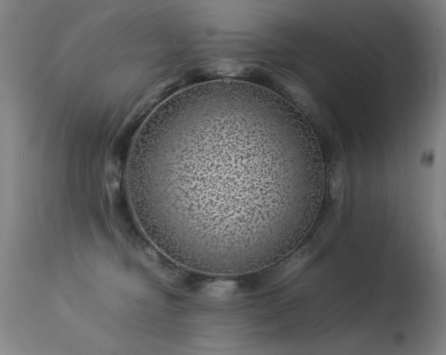 X0000113330374200909211225