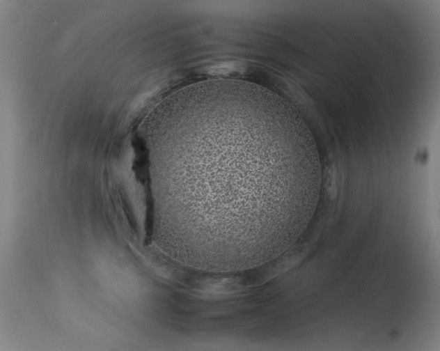 X0000113330375200909211225