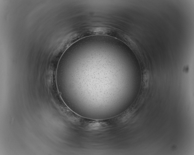 X0000113330379200909211225