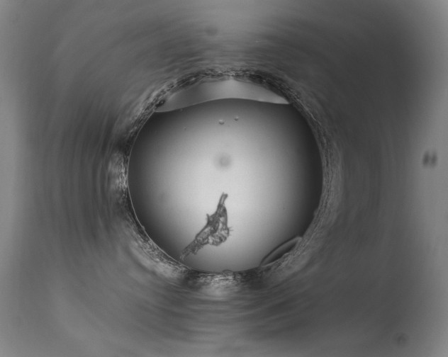 X0000113330384200909211226