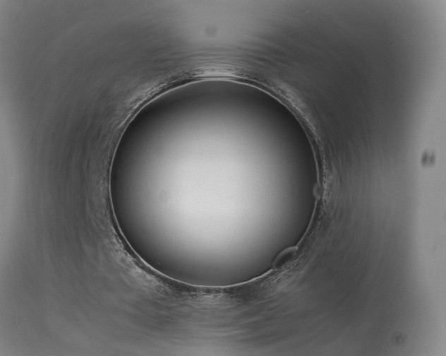 X0000113330385200909211225