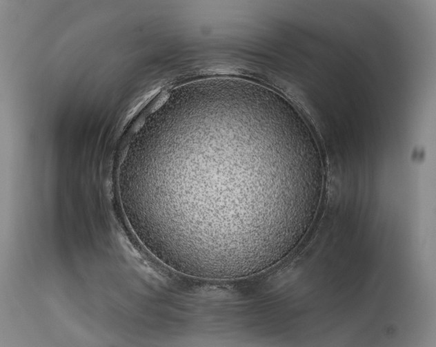 X0000113330386200909211225