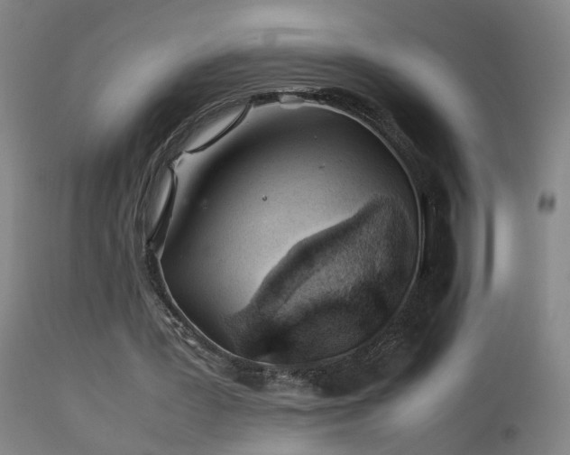 X0000113330387200909211225