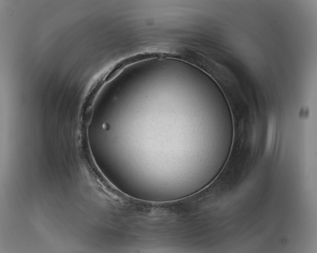 X0000113330388200909211225