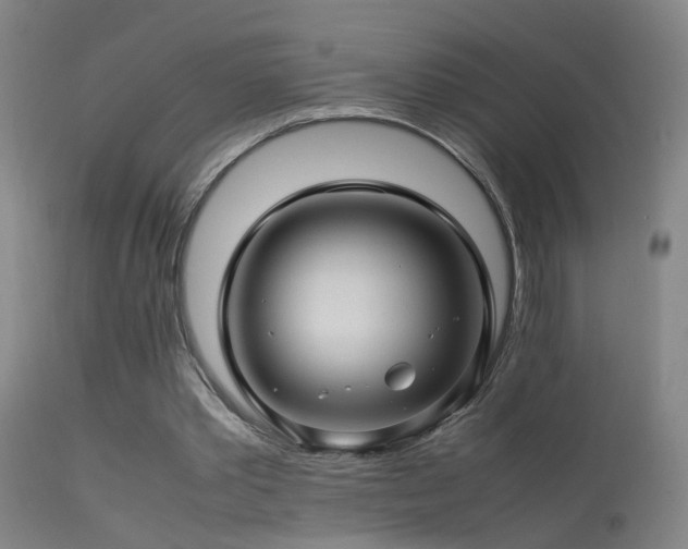 X0000113330389200909211225