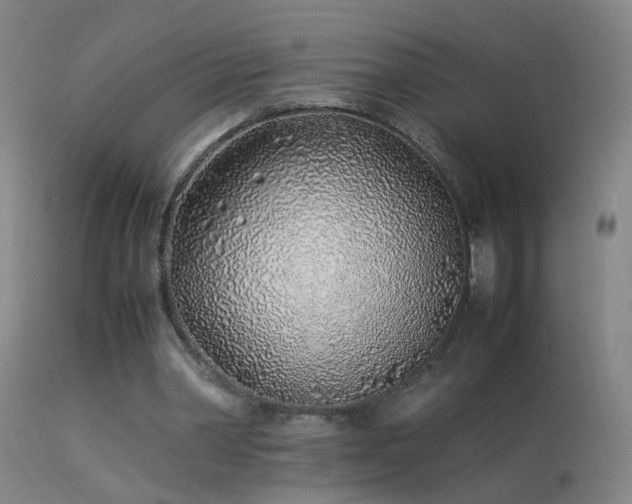 X0000113330390200909211225