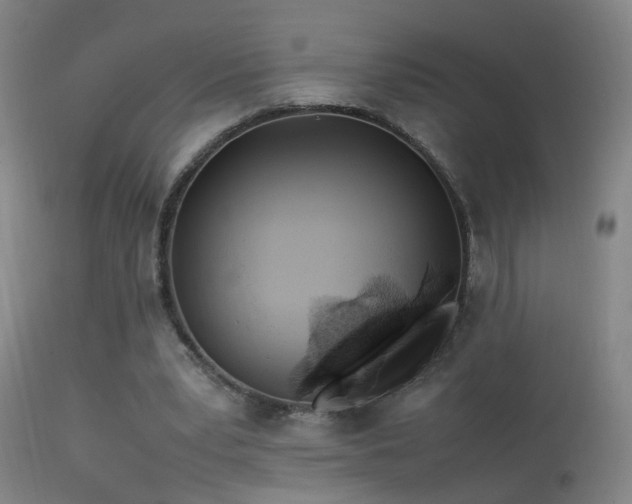 X0000113330391200909211225